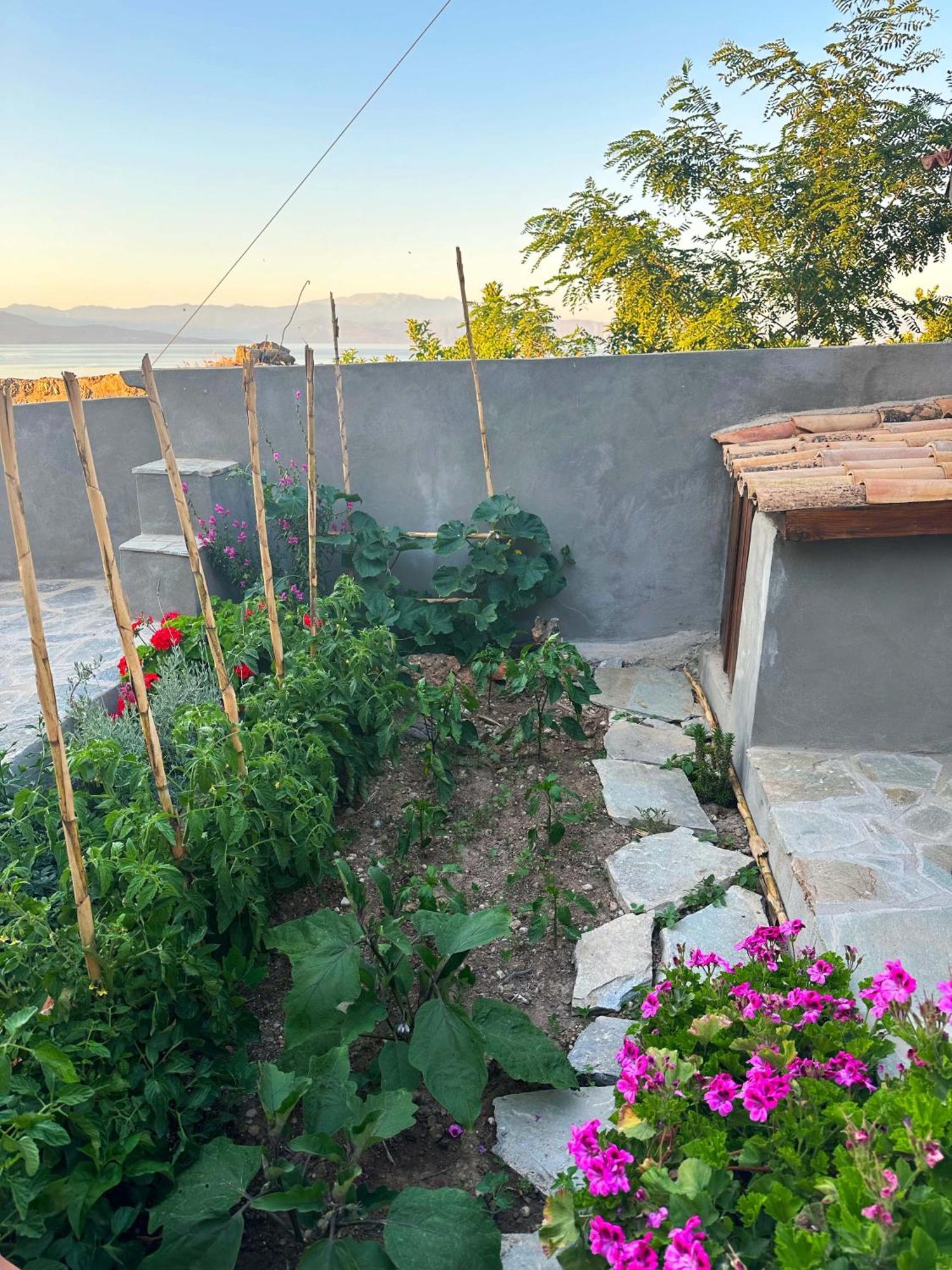 Fteri Stone House In Platanos, Akrata * Plátanos